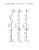 PET TEMPERAMENT SYSTEM AND METHOD diagram and image