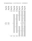 FILTER-TIPPED CIGARETTE WITH A REMOVABLE CAP, AND RELATIVE MANUFACTURING     METHOD AND MACHINE diagram and image