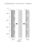 Vertical Gate Stacked NAND and Row Decoder for Erase Operation diagram and image