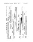 DEVICES FOR SENDING AND RECEIVING FEEDBACK INFORMATION diagram and image