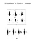 PHOSPHOLIPID ANALOGS AS DIAPEUTIC AGENTS AND METHODS THEREOF diagram and image