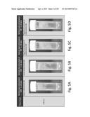 SILK PROTEIN FRAGMENT COMPOSITIONS AND ARTICLES MANUFACTURED THEREFROM diagram and image