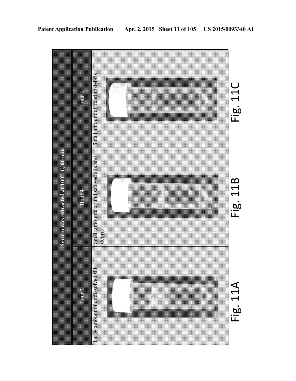 SILK PROTEIN FRAGMENT COMPOSITIONS AND ARTICLES MANUFACTURED THEREFROM - diagram, schematic, and image 12