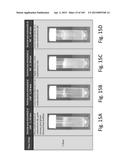 SILK PROTEIN FRAGMENT COMPOSITIONS AND ARTICLES MANUFACTURED THEREFROM diagram and image