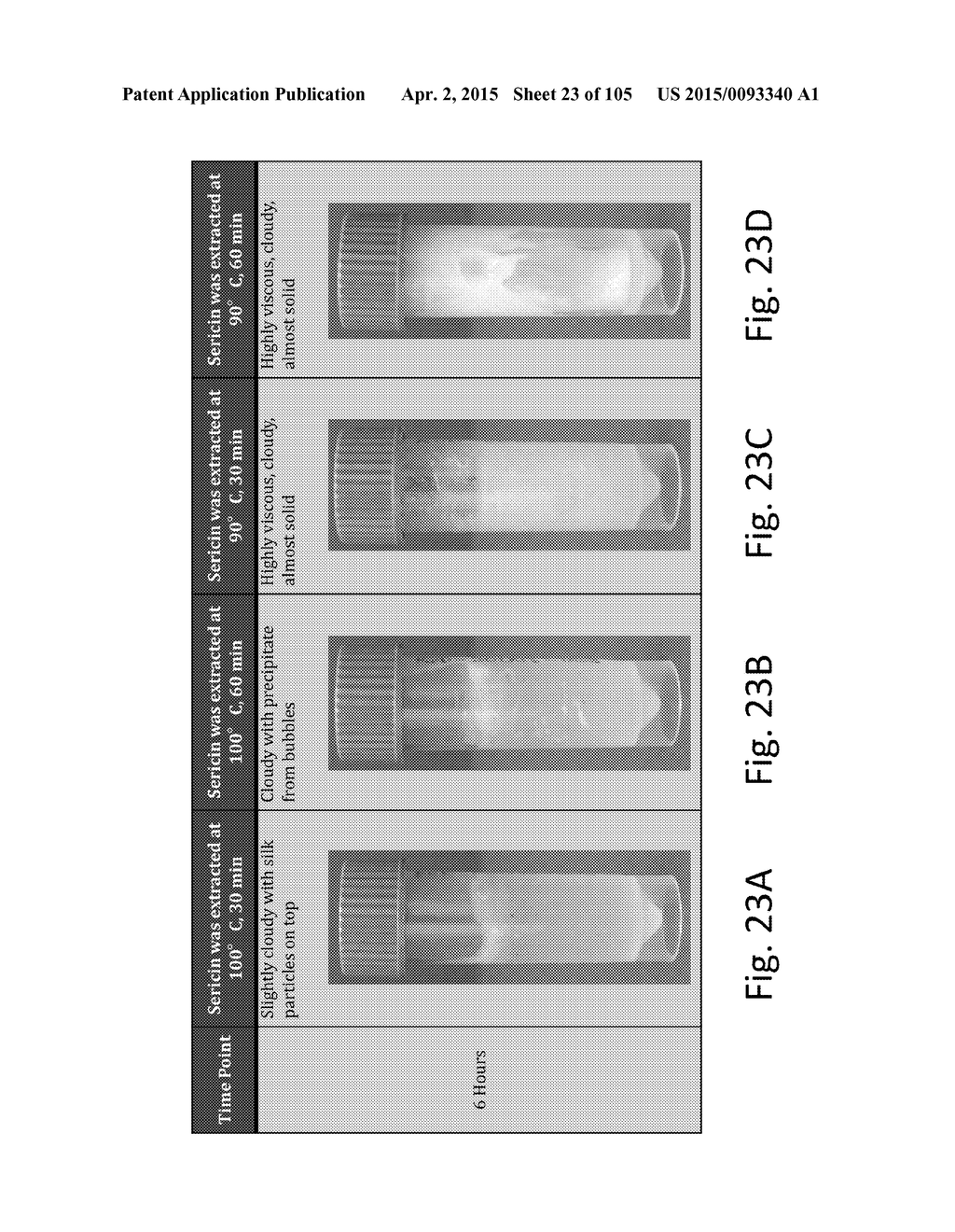 SILK PROTEIN FRAGMENT COMPOSITIONS AND ARTICLES MANUFACTURED THEREFROM - diagram, schematic, and image 24