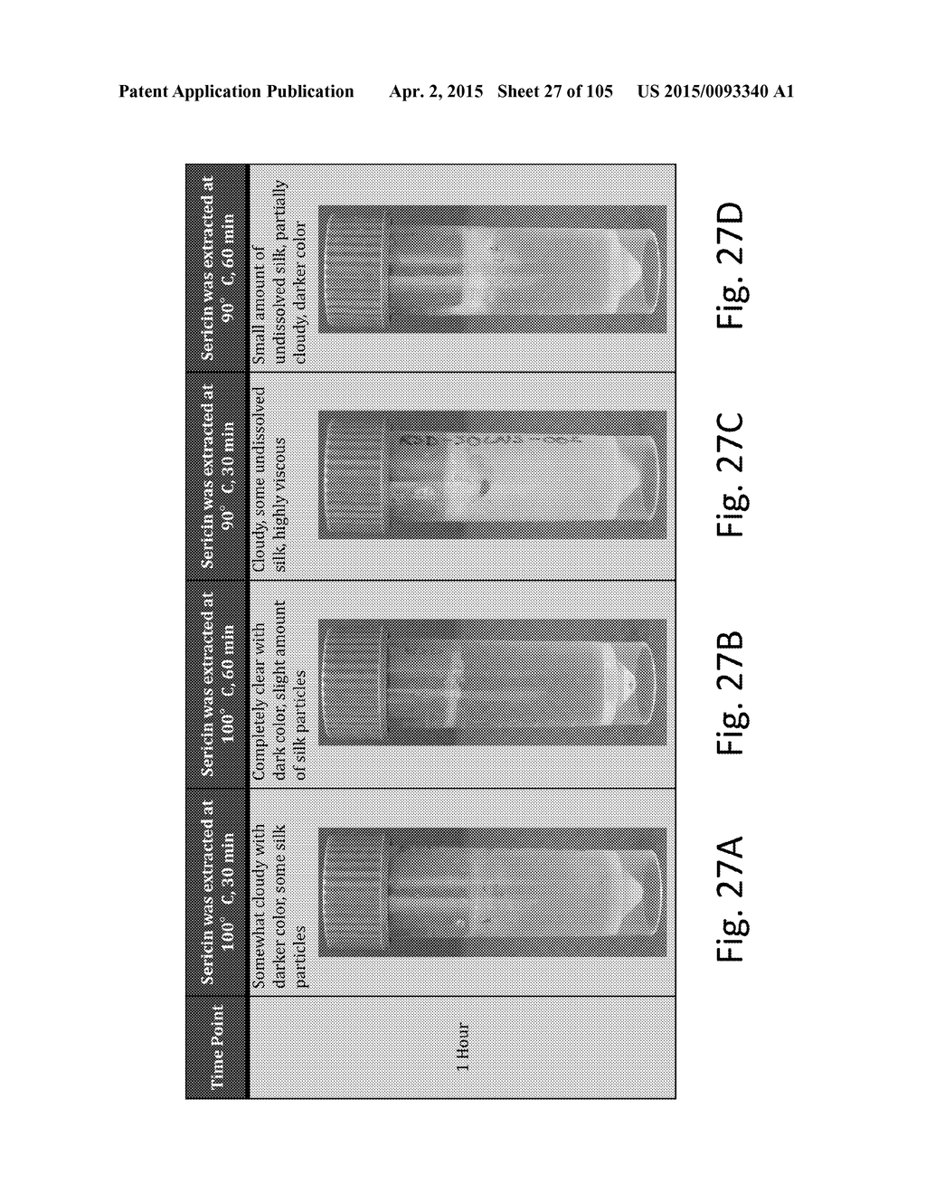 SILK PROTEIN FRAGMENT COMPOSITIONS AND ARTICLES MANUFACTURED THEREFROM - diagram, schematic, and image 28