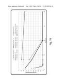 SILK PROTEIN FRAGMENT COMPOSITIONS AND ARTICLES MANUFACTURED THEREFROM diagram and image