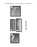 SILK PROTEIN FRAGMENT COMPOSITIONS AND ARTICLES MANUFACTURED THEREFROM diagram and image