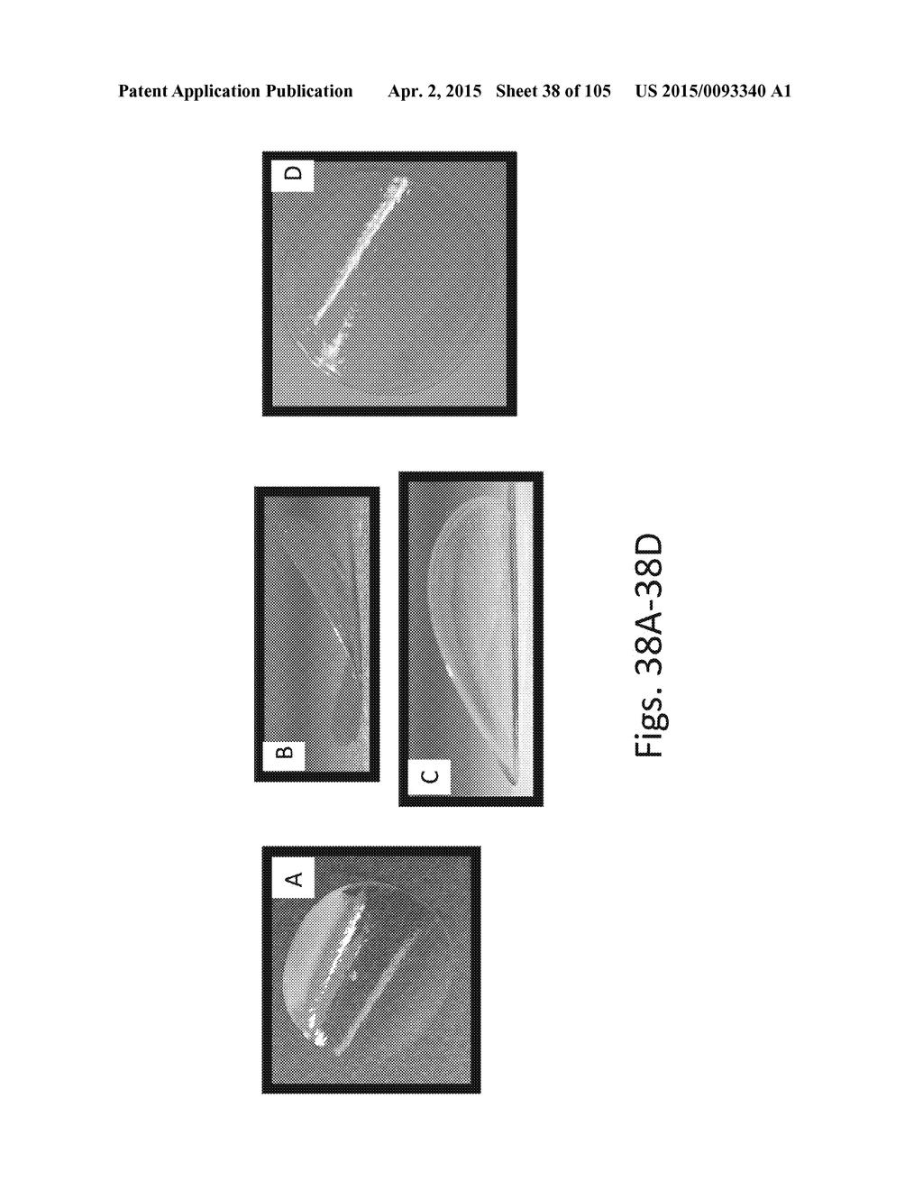 SILK PROTEIN FRAGMENT COMPOSITIONS AND ARTICLES MANUFACTURED THEREFROM - diagram, schematic, and image 39