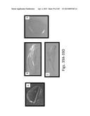 SILK PROTEIN FRAGMENT COMPOSITIONS AND ARTICLES MANUFACTURED THEREFROM diagram and image