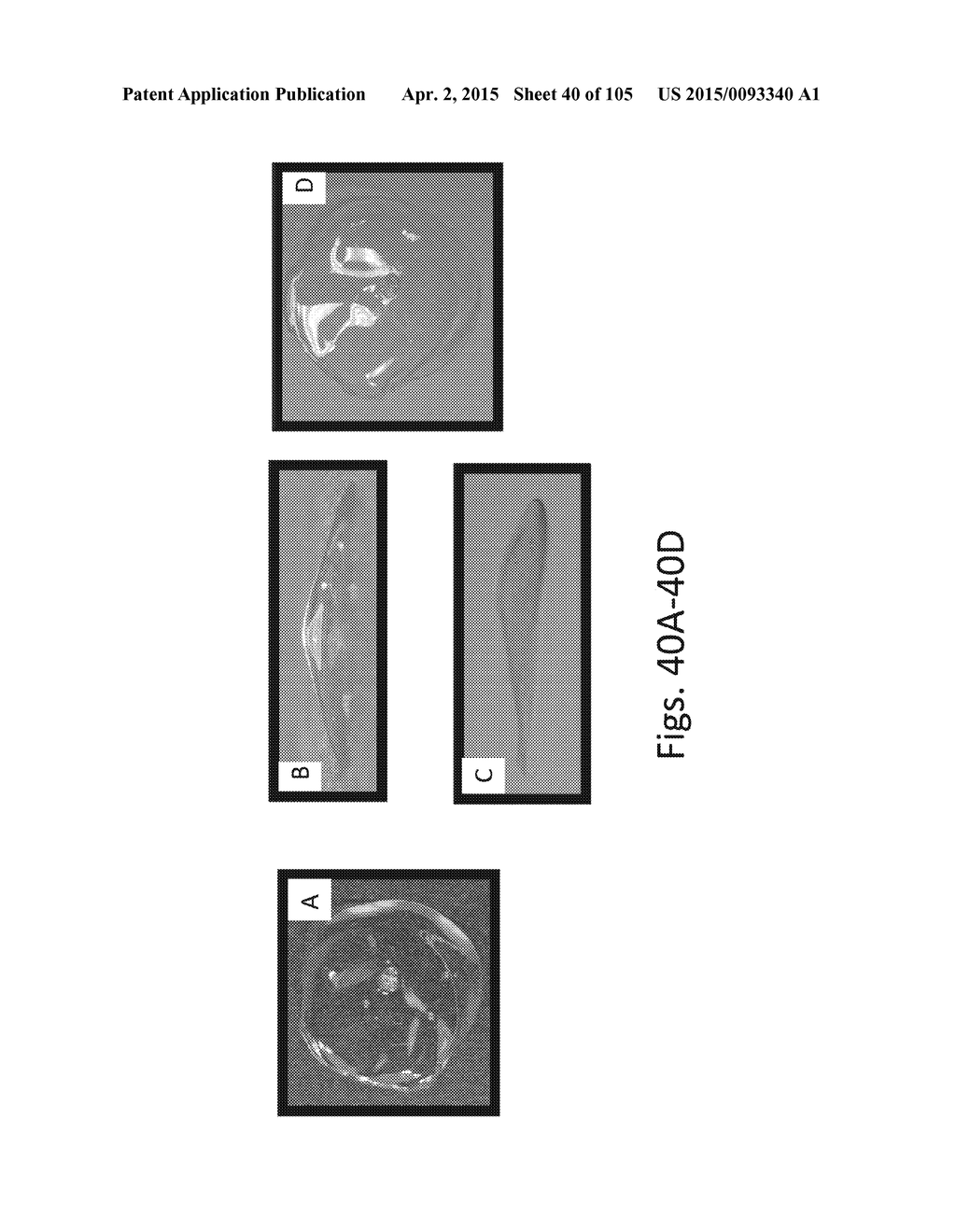 SILK PROTEIN FRAGMENT COMPOSITIONS AND ARTICLES MANUFACTURED THEREFROM - diagram, schematic, and image 41