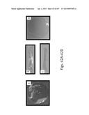 SILK PROTEIN FRAGMENT COMPOSITIONS AND ARTICLES MANUFACTURED THEREFROM diagram and image