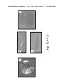 SILK PROTEIN FRAGMENT COMPOSITIONS AND ARTICLES MANUFACTURED THEREFROM diagram and image