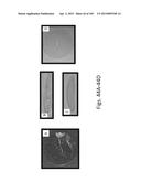 SILK PROTEIN FRAGMENT COMPOSITIONS AND ARTICLES MANUFACTURED THEREFROM diagram and image