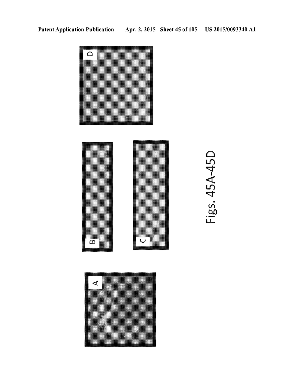 SILK PROTEIN FRAGMENT COMPOSITIONS AND ARTICLES MANUFACTURED THEREFROM - diagram, schematic, and image 46