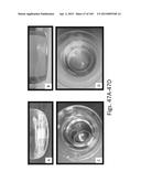 SILK PROTEIN FRAGMENT COMPOSITIONS AND ARTICLES MANUFACTURED THEREFROM diagram and image