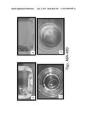 SILK PROTEIN FRAGMENT COMPOSITIONS AND ARTICLES MANUFACTURED THEREFROM diagram and image