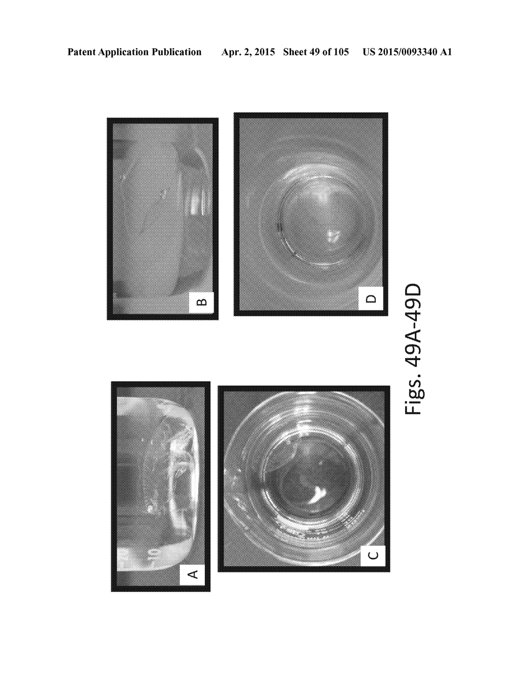 SILK PROTEIN FRAGMENT COMPOSITIONS AND ARTICLES MANUFACTURED THEREFROM - diagram, schematic, and image 50