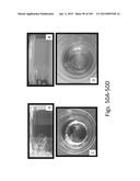 SILK PROTEIN FRAGMENT COMPOSITIONS AND ARTICLES MANUFACTURED THEREFROM diagram and image