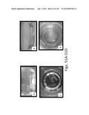 SILK PROTEIN FRAGMENT COMPOSITIONS AND ARTICLES MANUFACTURED THEREFROM diagram and image