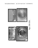 SILK PROTEIN FRAGMENT COMPOSITIONS AND ARTICLES MANUFACTURED THEREFROM diagram and image