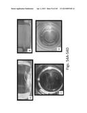 SILK PROTEIN FRAGMENT COMPOSITIONS AND ARTICLES MANUFACTURED THEREFROM diagram and image