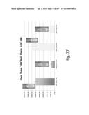 SILK PROTEIN FRAGMENT COMPOSITIONS AND ARTICLES MANUFACTURED THEREFROM diagram and image