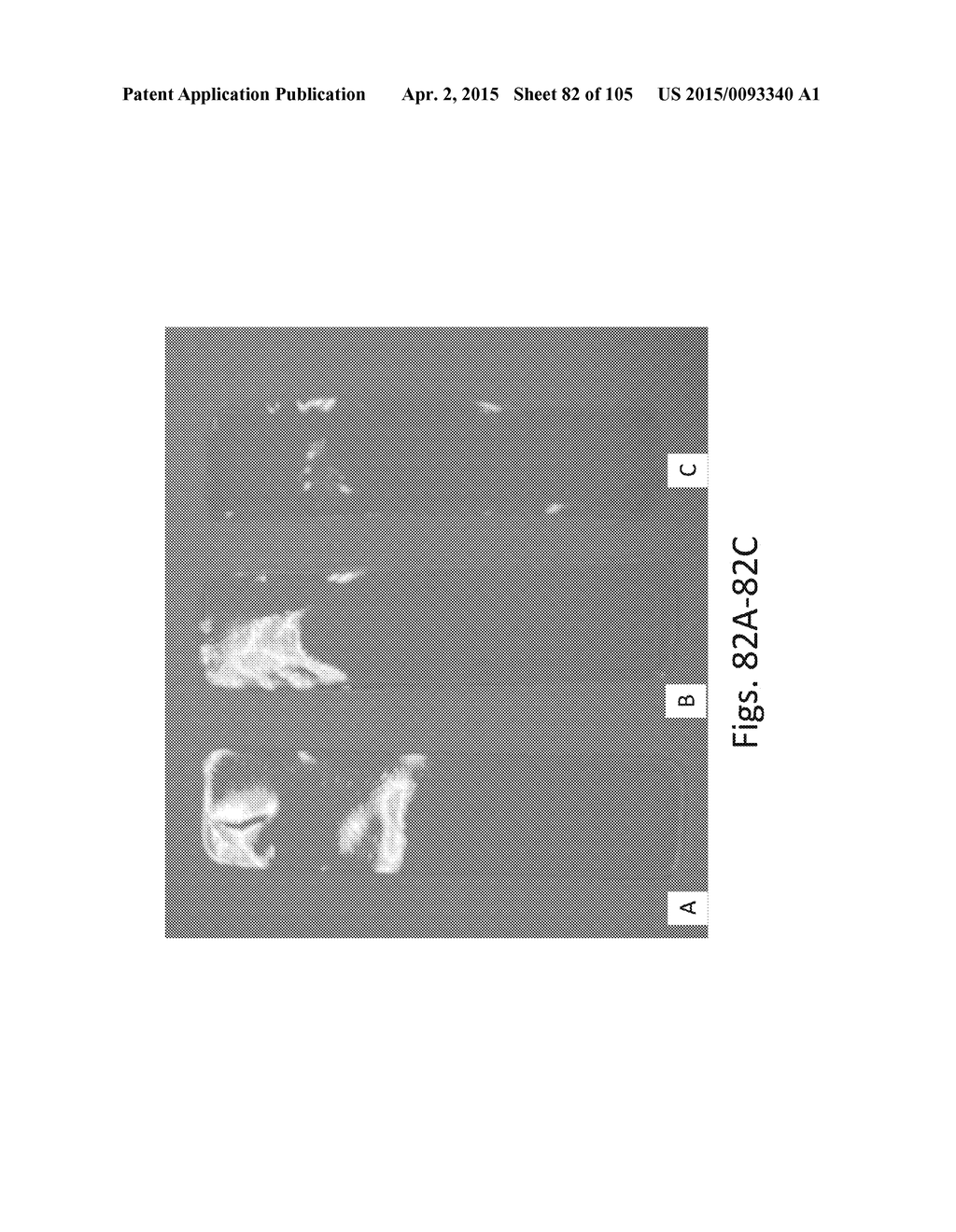 SILK PROTEIN FRAGMENT COMPOSITIONS AND ARTICLES MANUFACTURED THEREFROM - diagram, schematic, and image 83