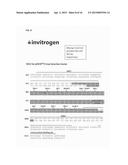 METHOD FOR PRODUCING MONOTERPENE AND MONOTERPINOID COMPOUNDS AND USE     THEREOF diagram and image