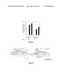 PHOTOACTIVATABLE CAGED TAMOXIFEN AND TAMOXIFEN DERIVATIVE MOLECULES AND     METHODS OF USE THEREOF diagram and image