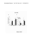 TREATMENT OF PULMONARY VASCULAR REMODELING WITH NEPRILYSIN diagram and image