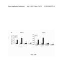 TREATMENT OF PULMONARY VASCULAR REMODELING WITH NEPRILYSIN diagram and image