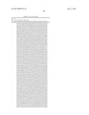 DUAL VARIABLE DOMAIN IMMUNOGLOBULINS AND USES THEREOF diagram and image