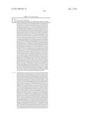 DUAL VARIABLE DOMAIN IMMUNOGLOBULINS AND USES THEREOF diagram and image