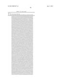 DUAL VARIABLE DOMAIN IMMUNOGLOBULINS AND USES THEREOF diagram and image