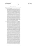 DUAL VARIABLE DOMAIN IMMUNOGLOBULINS AND USES THEREOF diagram and image