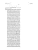 DUAL VARIABLE DOMAIN IMMUNOGLOBULINS AND USES THEREOF diagram and image