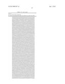 DUAL VARIABLE DOMAIN IMMUNOGLOBULINS AND USES THEREOF diagram and image