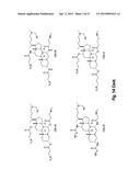 CERAGENIN PARTICULATE MATERIALS AND METHODS FOR MAKING SAME diagram and image