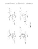 CERAGENIN PARTICULATE MATERIALS AND METHODS FOR MAKING SAME diagram and image