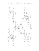 CERAGENIN PARTICULATE MATERIALS AND METHODS FOR MAKING SAME diagram and image