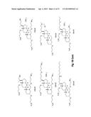 CERAGENIN PARTICULATE MATERIALS AND METHODS FOR MAKING SAME diagram and image