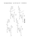 CERAGENIN PARTICULATE MATERIALS AND METHODS FOR MAKING SAME diagram and image