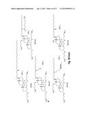 CERAGENIN PARTICULATE MATERIALS AND METHODS FOR MAKING SAME diagram and image