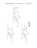 CERAGENIN PARTICULATE MATERIALS AND METHODS FOR MAKING SAME diagram and image