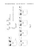 STEM CELL IDENTIFICATION AND PURIFICATION METHOD diagram and image