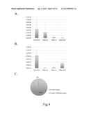 STEM CELL IDENTIFICATION AND PURIFICATION METHOD diagram and image