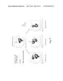 STEM CELL IDENTIFICATION AND PURIFICATION METHOD diagram and image