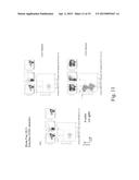 STEM CELL IDENTIFICATION AND PURIFICATION METHOD diagram and image