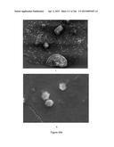 Continuous Methods for Treating Liquids and Manufacturing Certain     Constituents (e.g., Nanoparticles) in Liquids, Apparatuses and     Nanoparticles and Nanoparticle/Liquid Solution(s) Resulting Therefrom diagram and image